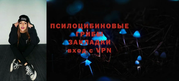 герыч Карпинск