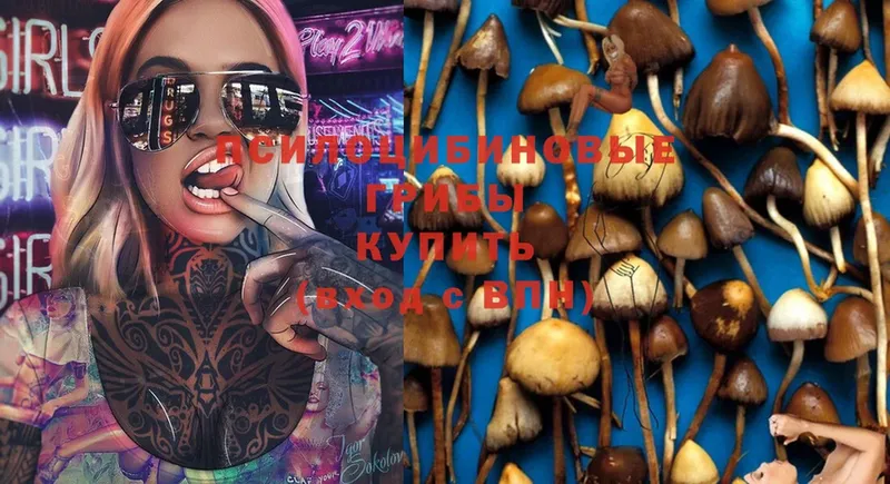 Галлюциногенные грибы MAGIC MUSHROOMS  omg зеркало  Старая Русса  где продают наркотики 