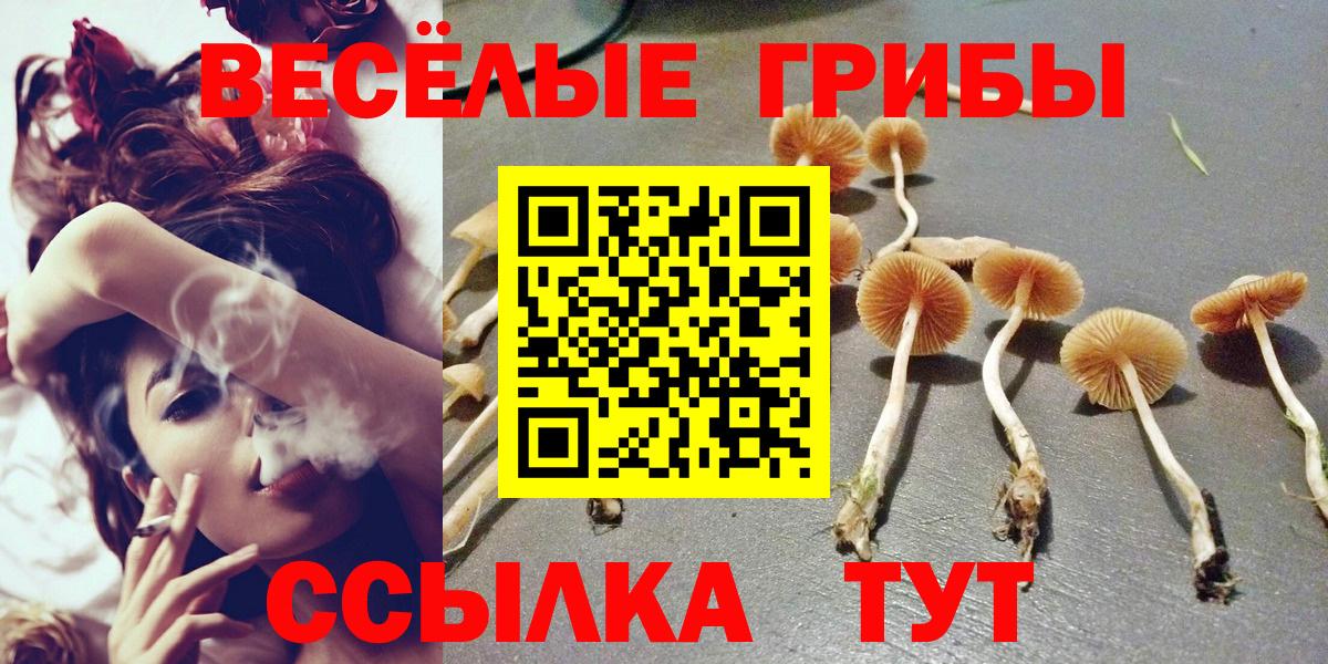 Галлюциногенные грибы Cubensis  Псилоцибиновые грибы Psilocybine cubensis  Вход с VPN  Старая Русса 