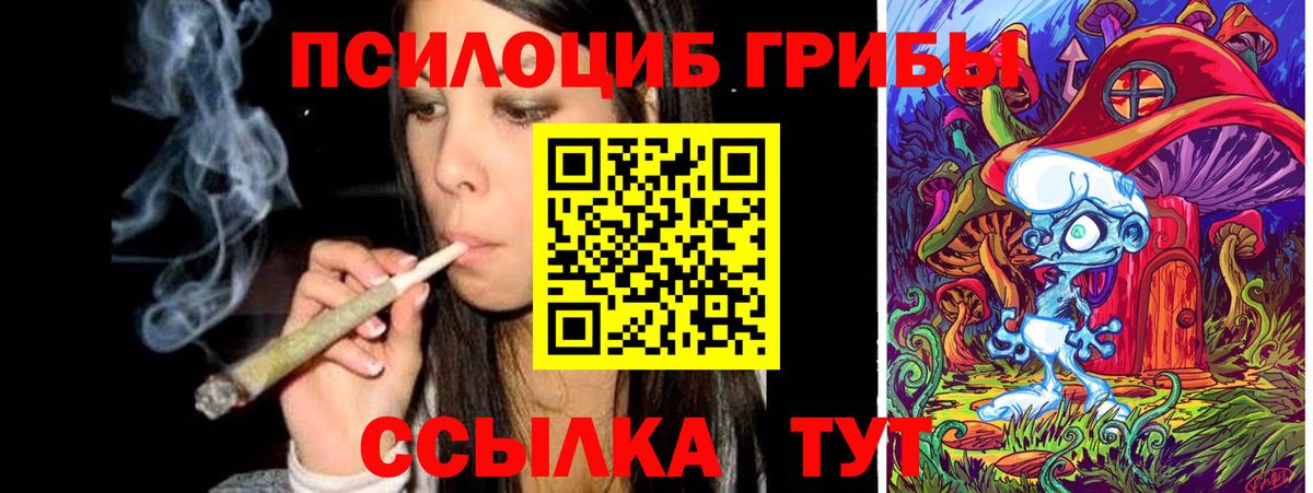 Галлюциногенные грибы Psilocybine cubensis Старая Русса